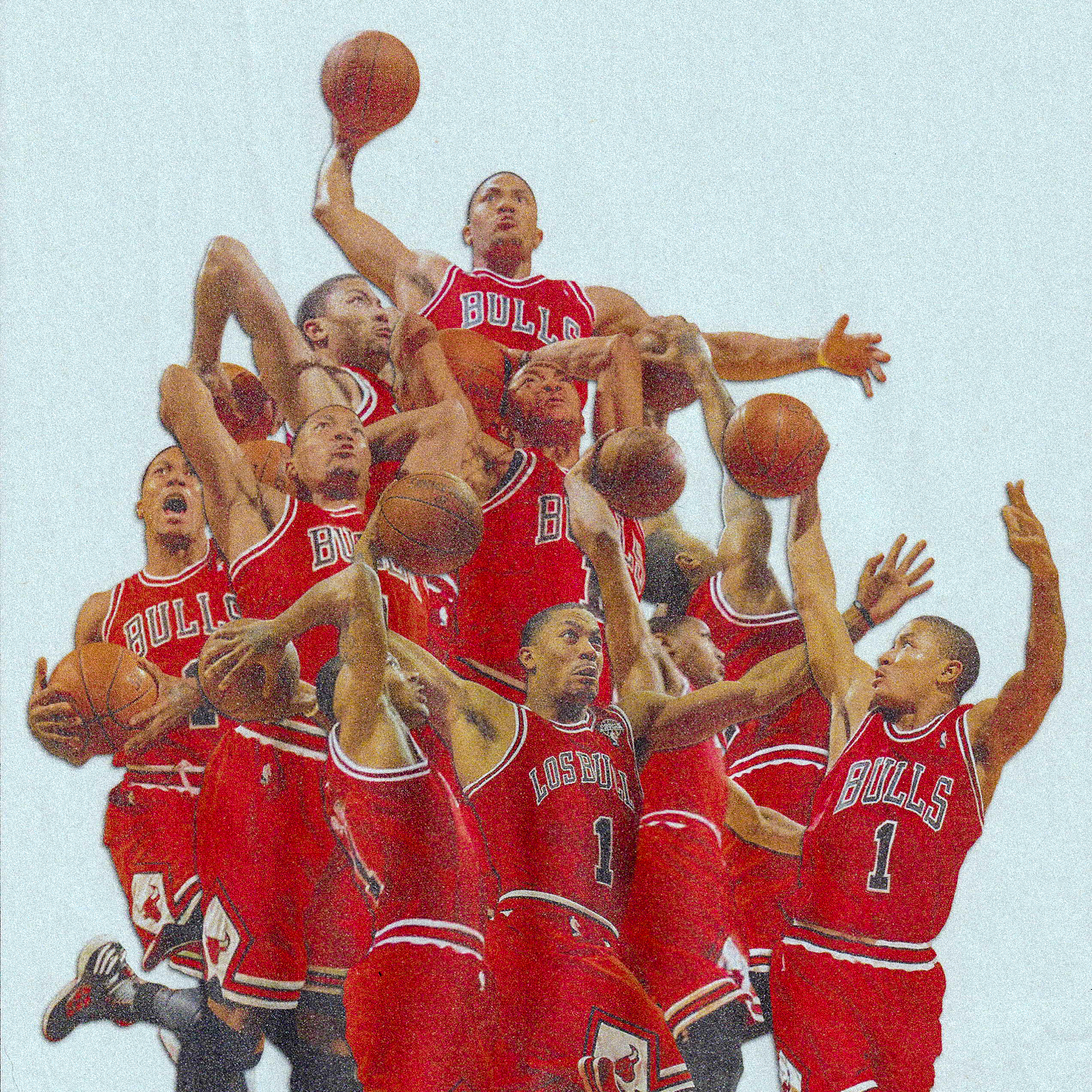 D-ROSE COLLAGE